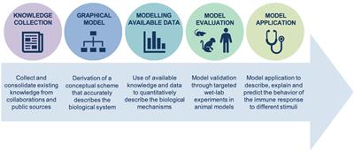 Literature Mining and Mechanistic Graphical Modelling to Improve mRNA Vaccine Platforms